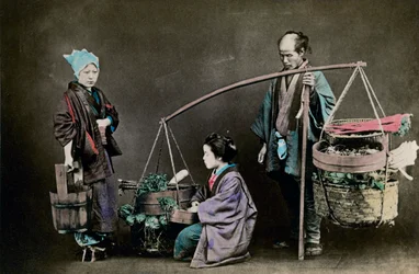 Grönsaksunderlägg, Japan, 1882