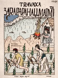 Inkariket: Ett indianskt par ur Hatun Runa-klassen bearbetar jorden i januari - tuschteckning ur Don Felipe Puma de Ayalas manuskript «Nueva coronica y buen gobierno», som illustrerar inkafolkets liv - 1500-talet