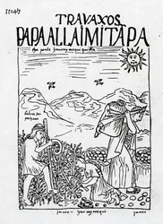 Juni månad, skörd av potatis