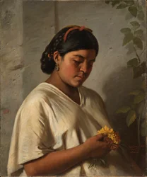 Indisk kvinna med ringblomma, 1876