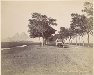 Kairo. Pyramidallén