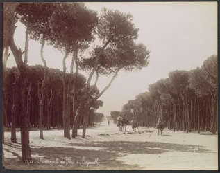 Tallpromenaden i Beirut