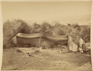 Nomadiska beduiners tält, Palestina