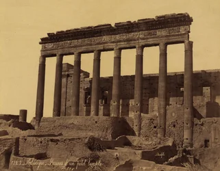 Fristående pelargång framför ett tempel i Palmyra, Syrien