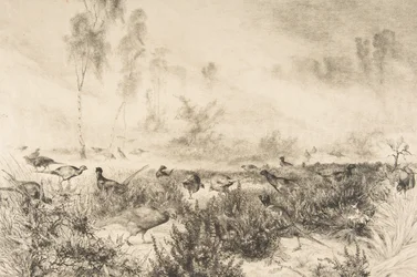 Morgondimmor, 1882.