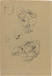 Kycklingar