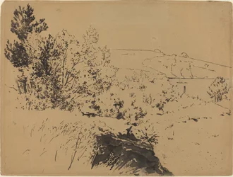 Kustlandskap