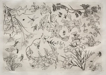 Middagsservering (Rousseau-servering): Blommor (nr 22)