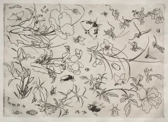 Middagsservering (Rousseau-servering): Blommor och insekter (nr 15)