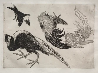 Middagsservering (Rousseau-servering): Fasaner och fågel (nr 18)