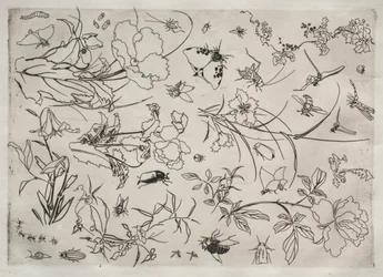 Middagsservering Rousseauservice: Blommor och insekter nr. 15, 1866.