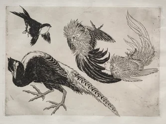 Middag Service Rousseau service: Fasaner och fågel nr. 18, 1866.