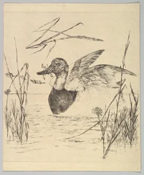 Anka, 1850-1914.
