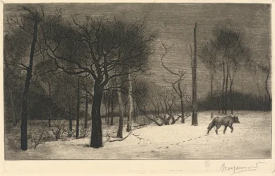 vinter-