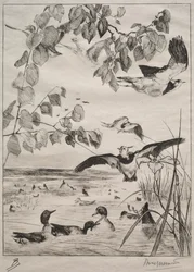 Vipor och krickor, 1862.