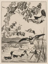 Vipor och krickor, 1862.
