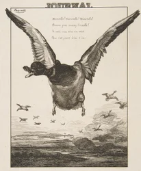 Ankan, 1856.