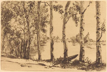 Poplar längs Seine