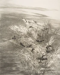 Vass och krickor, 1882.