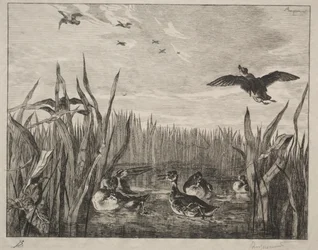 Kricka, 1853.