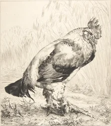 Den gamla tuppen, 1882.