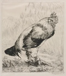 Den gamla tuppen, 1882.