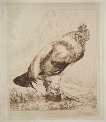 Den gamla hanen, 1882.