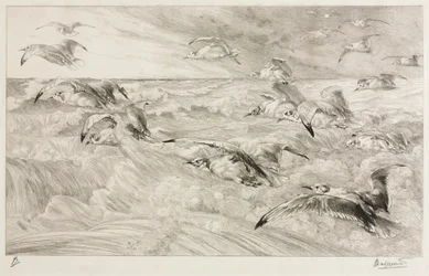Måsarna, ca. 1880.