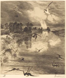 Svalorna