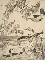 Vipor och Sarcelles, 1862.