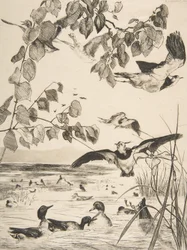 Vipor och Sarcelles, 1862.