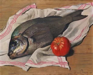 Dorade eller "John Dory", 1920