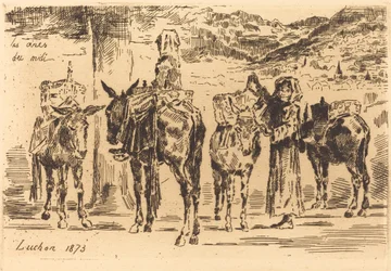 Ark med åsnor från söder, 1873.