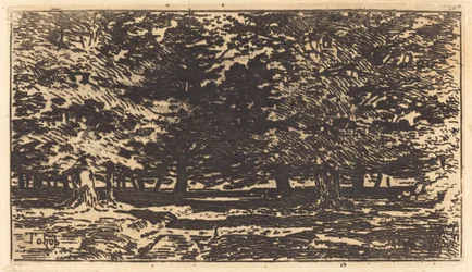 Skog.