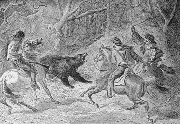Roping a Grizzly, illustration från 