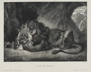 Lejon från Atlas, 1829