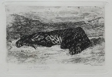 Tiger som ligger i öknen.