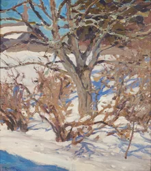 Vinterlandskap