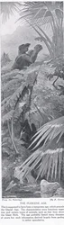 Pliocenåldern, illustration från "Hutchinson