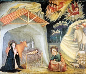 Jesu födelse i Betlehem detalj