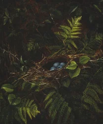 Fågelbo och ormbunkar, 1863