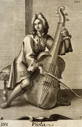 Man spelar viola