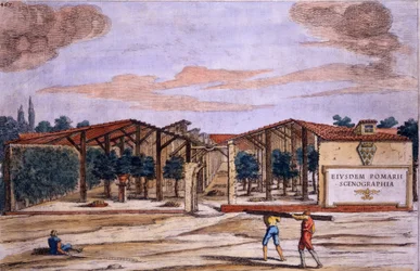 A Covered Orchard, från 