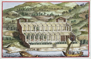 Strukturen av ett växthus, från "Hesperiderna" av Giovanni Battista Ferrari, graverad av Cammillo Congio (fl.1630), publicerad 1646.