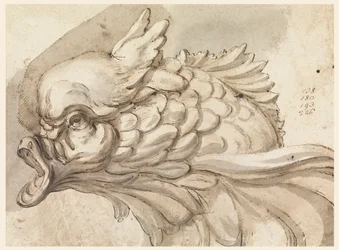 Ritning, Huvud av en delfin, ca. 1775