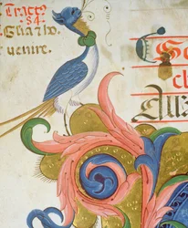 Missal 515 f.28v Fantastisk fågel med människohuvud stående i hörnet av en historisk initial, detalj från en körbok utförd före 1449 velängdetalj av 56724