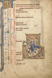 MS 14 f.5, maj: Hawking, c.1250