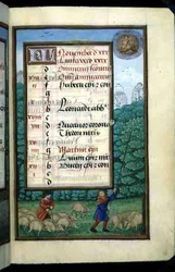 Ms 1058-1975 f.11r Herding Swine and Beating Oaks, upplyst kalendersida för november, från en timbok, c.1500 (vellum)