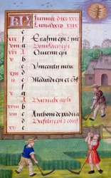 Ms 1058-1975 f6r Mowing Grass, upplyst kalendersida för juni, från a Book of Hours, c.1500 (vellum)