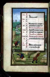 Ms 1058-1975 f7v Bindande och bärande kärvar, upplyst kalendersida för juli, från en timbok, ca 1500 (vellum)